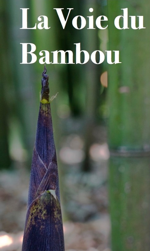 La Voie Du Bambou 3