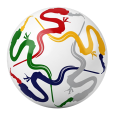 Tai Chi Martial Escrime Chinoise Qi Gong & Tai Chi Santé