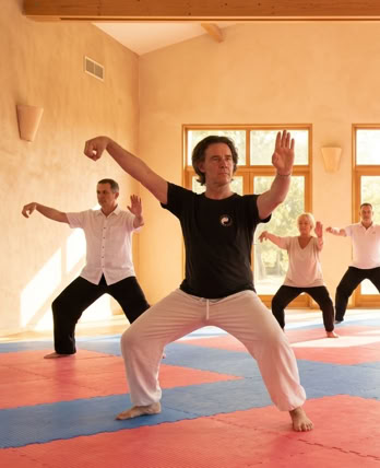 Simple Fouet Style WU Simple Fouet Style WU, cours Tai Chi Santé